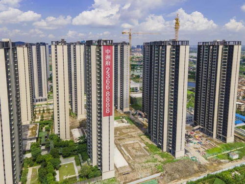 顺德版珠江新城惊现超级爆盘，中洲府以顶流品质铸就未来人居新标杆