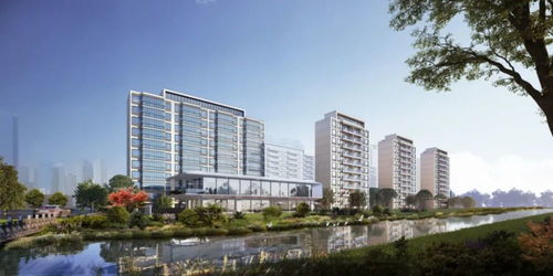 科技城改善标杆 低密洋房，刷新产品力上限的“顶超瞰”之作